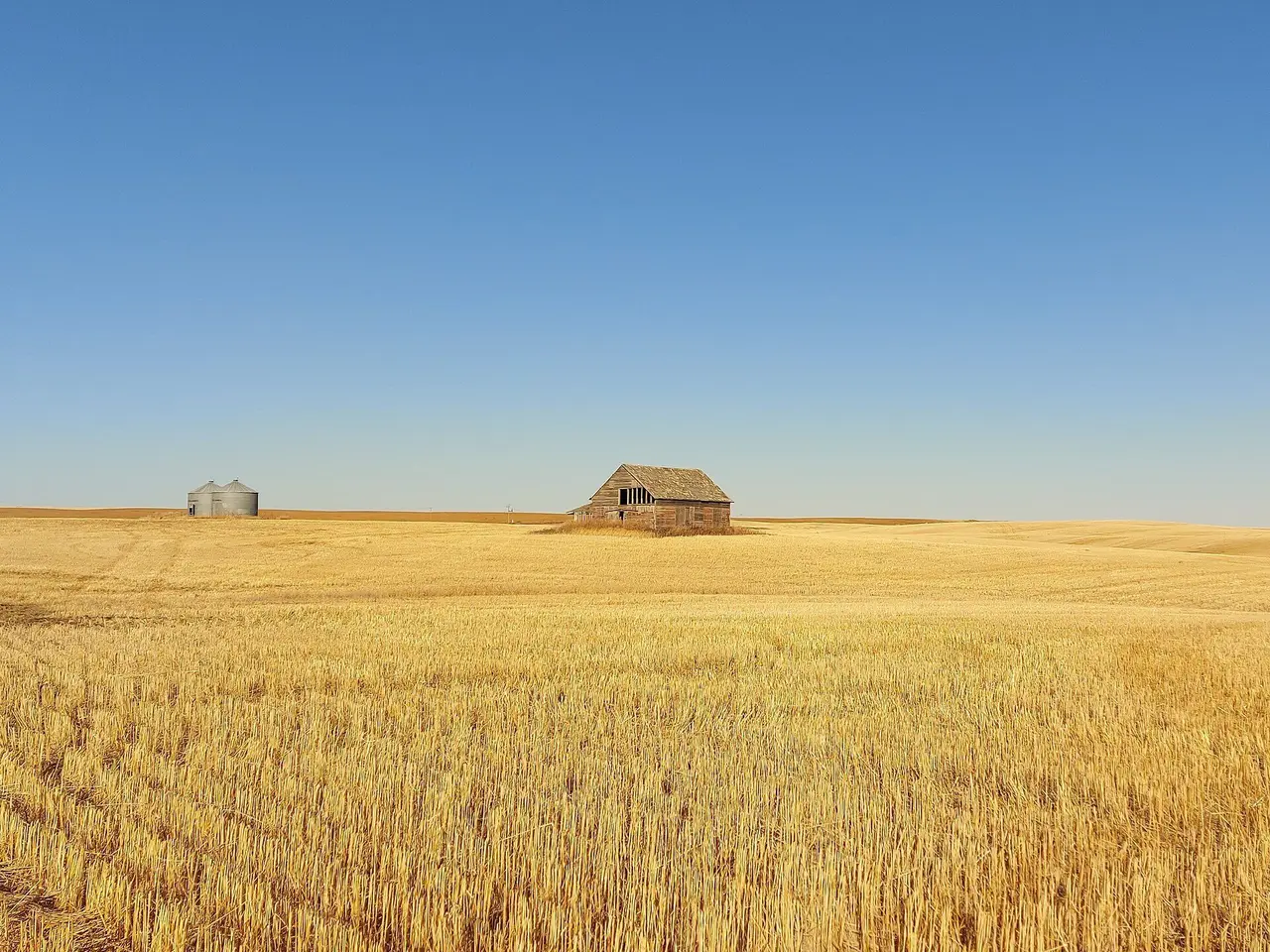 Abandoned barn in a harvested wheat field, 2022